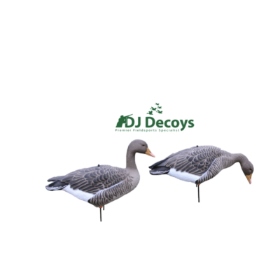 Enforcer Full Bodied Greylag Goose Decoys